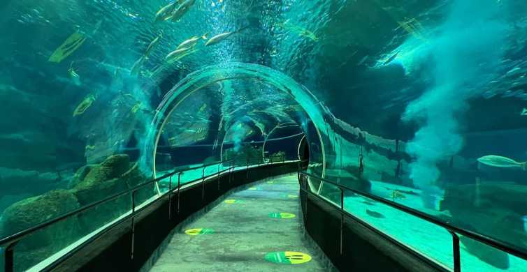 AquaRio Aquarium