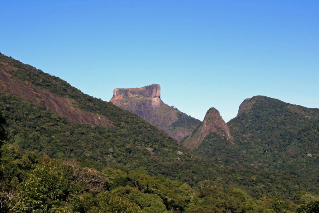 Tijuca Forest
