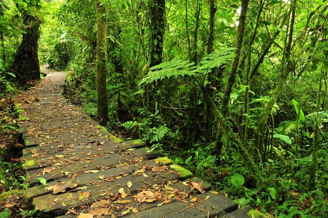 Braulio Carrillo National Park 