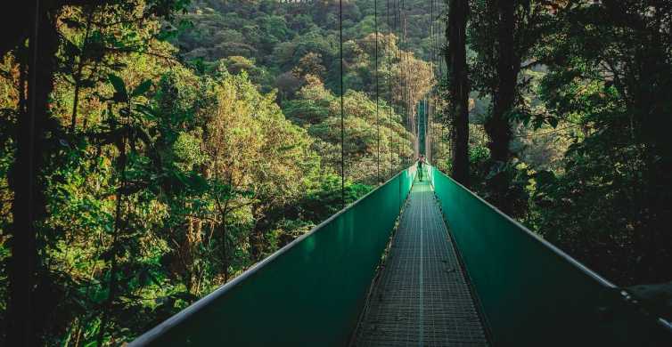 Monteverde Cloud Forest 